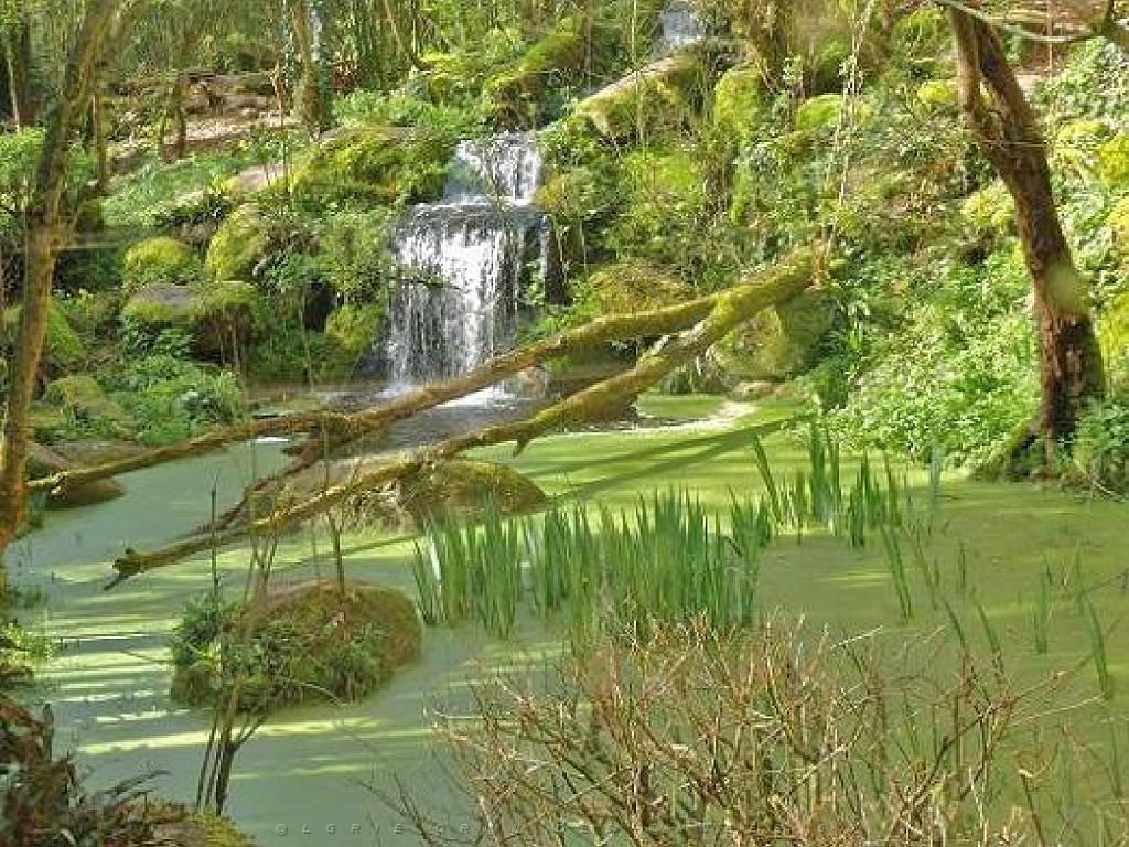 149 BIO PARC DE DOUE LA FONTAINE 3- 2016_000005.jpg